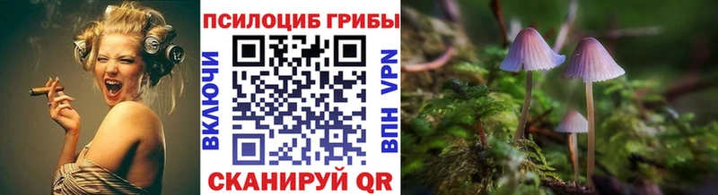 Псилоцибиновые грибы GOLDEN TEACHER  ссылка на мегу ТОР  Нальчик  купить закладку 